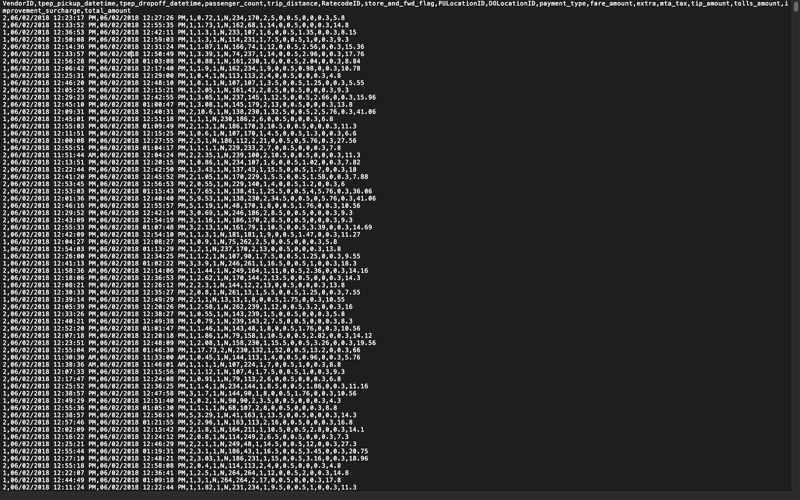 Lengthy table of rows from the NYC taxi time series data, 2018