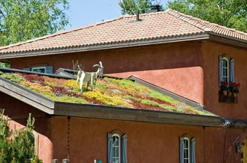A statue of a goat grazing on moss growing on a rooftop